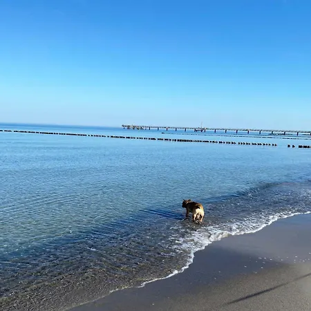 Grosse Strandoase 5 Sterne Mit Blick Auf Den Bodden Apartamento