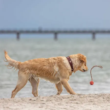 Apartamento Grosse Strandoase 5 Sterne Mit Blick Auf Den Bodden Wustrow (Fischland)